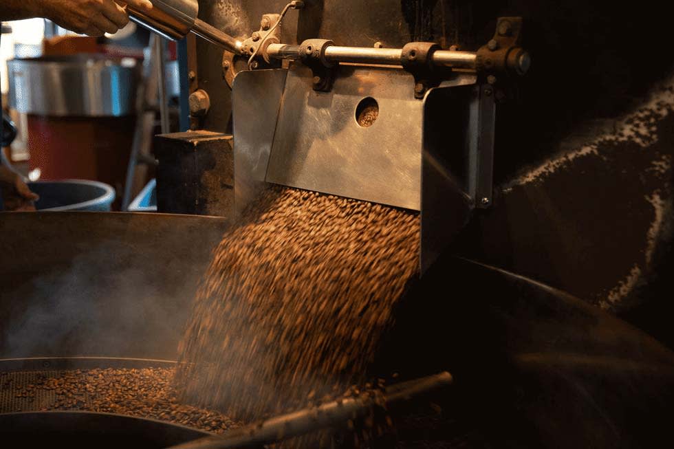 Coffee beans being processed at Jittery Joe's.