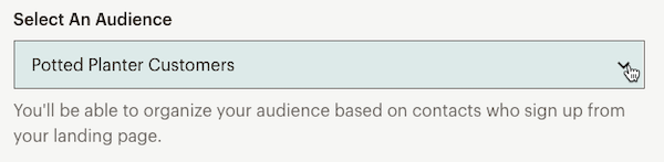 Landing Page Audience